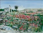 Poppies at Delos