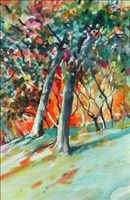 "Ablaze with Colour"