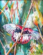 "Wings"